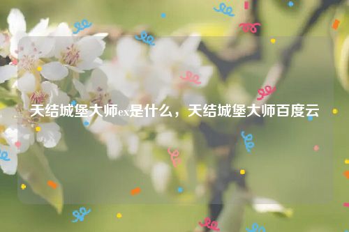 天结城堡大师ex是什么，天结城堡大师百度云