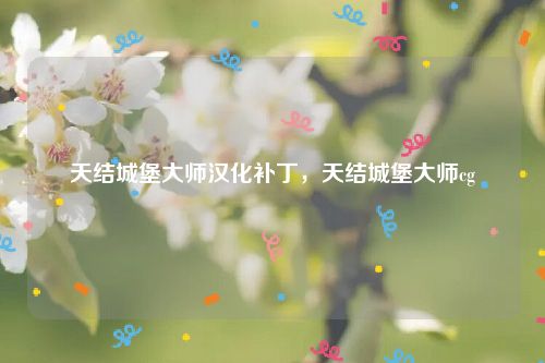 天结城堡大师汉化补丁，天结城堡大师cg